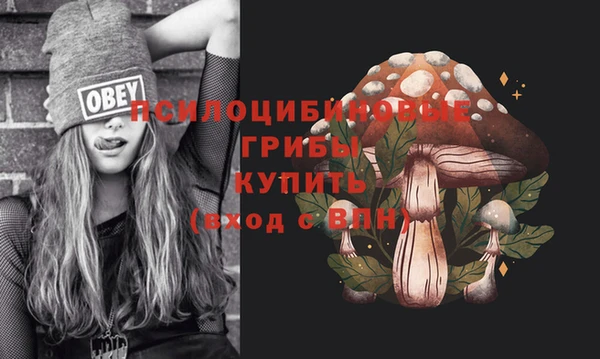 дмт Зерноград