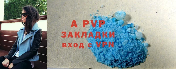 PSILOCYBIN Зеленодольск