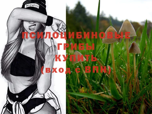 дмт Зерноград