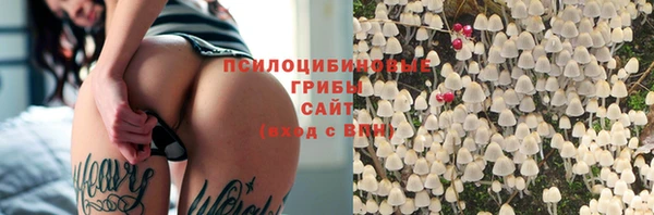 скорость Зеленокумск