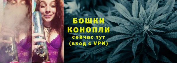 PSILOCYBIN Зеленодольск
