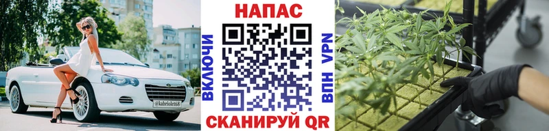 Бошки Шишки планчик  Исилькуль 